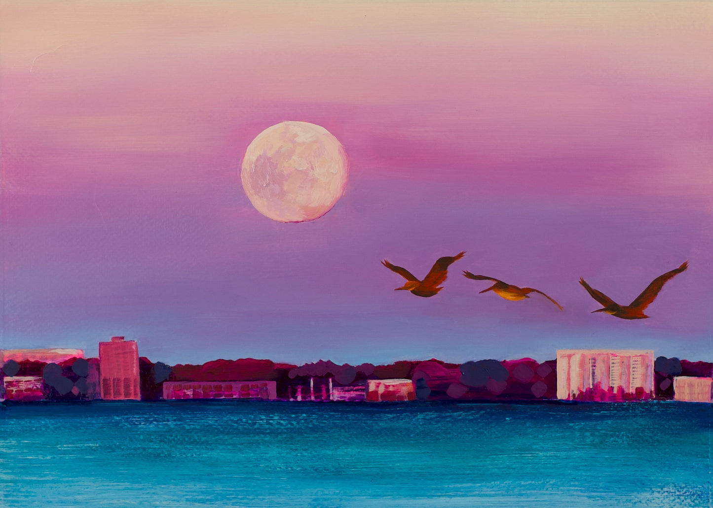 Birds in the Sunset
